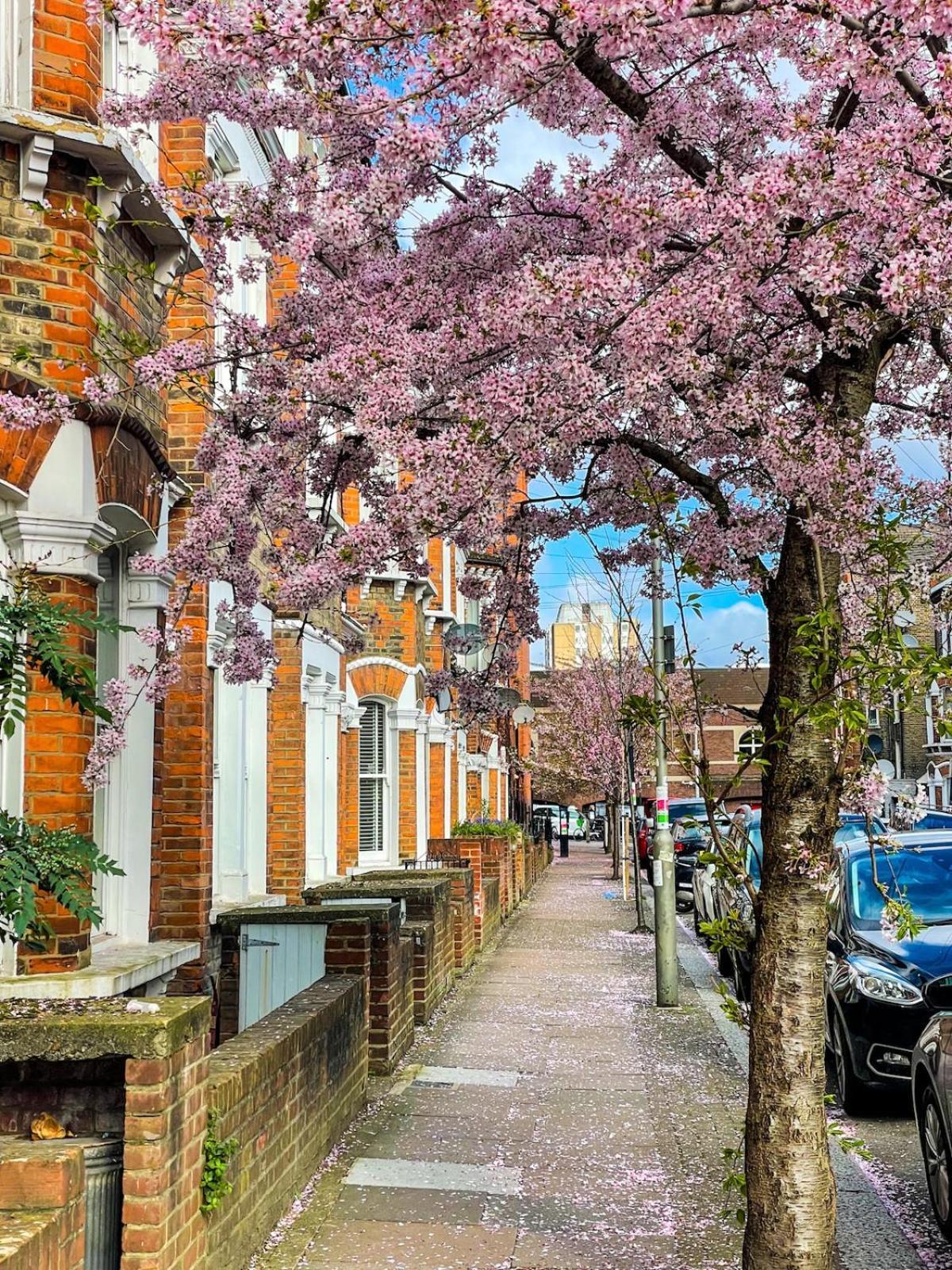Appartement Bright Modern Large 1 Bed Flat In Battersea Clapham Junction